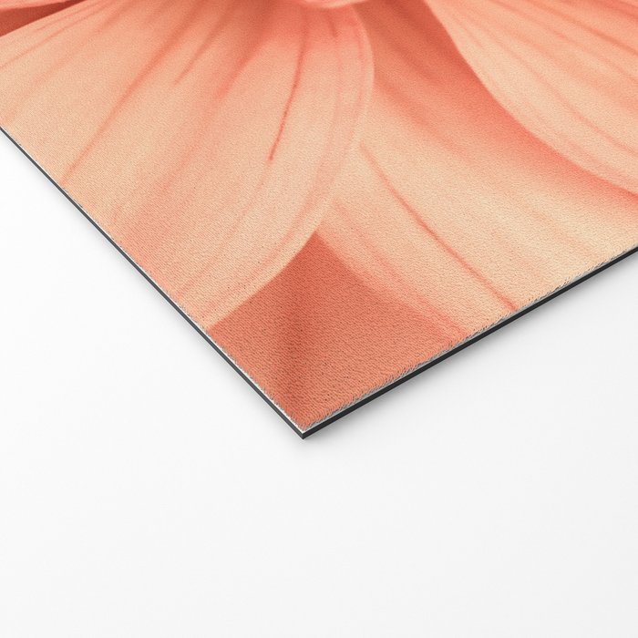 Prima Donna - Modern Botanical Photograph - Dahlia Flower Photo - Floral Print Welcome Mat Gallery Image 2