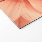 Prima Donna - Modern Botanical Photograph - Dahlia Flower Photo - Floral Print Welcome Mat Gallery Image 2