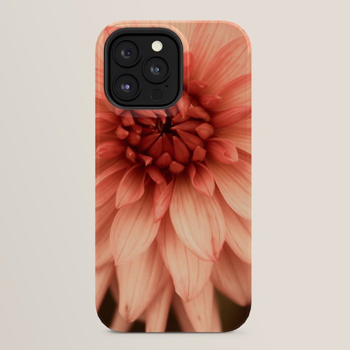 Prima Donna - Modern Botanical Photograph - Dahlia Flower Photo - Floral Print iPhone Case Gallery Image 32