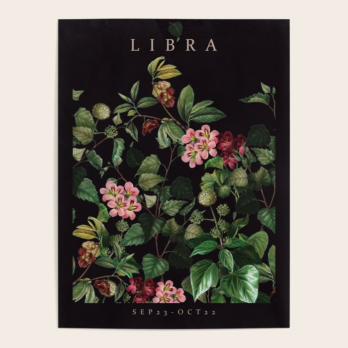 LIBRA II Poster Gallery Image 4