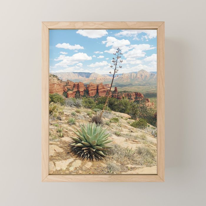 Sedona Red Sandstone Desert Agave Mini Art Print Gallery Image 1