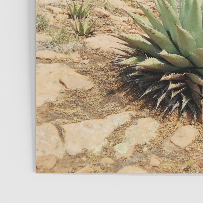 Sedona Red Sandstone Desert Agave Poster Gallery Image 3
