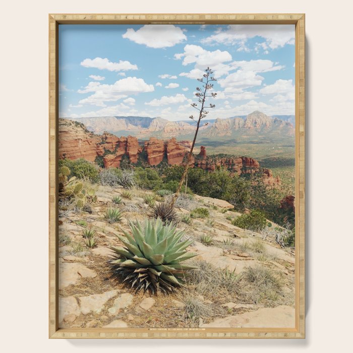 Sedona Red Sandstone Desert Agave Serving Tray Gallery Image 1