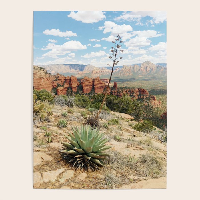 Sedona Red Sandstone Desert Agave Poster Gallery Image 4