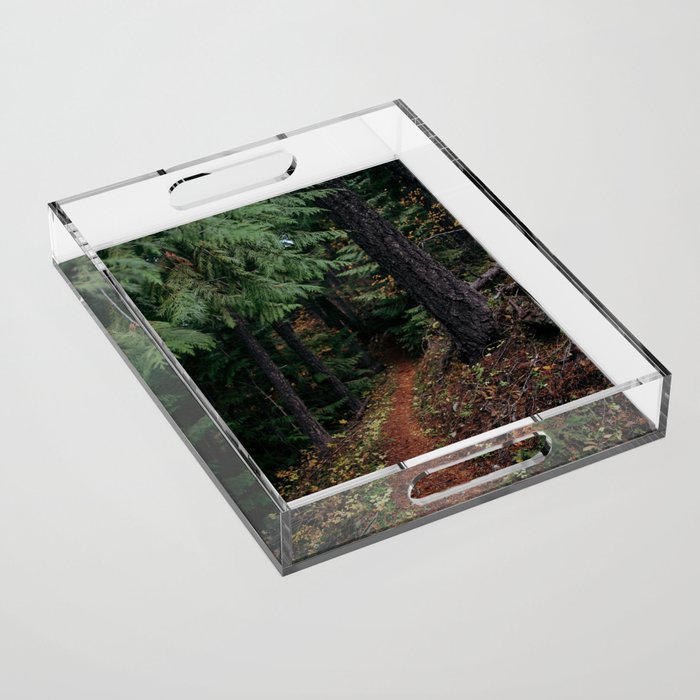 Fall Trail II Acrylic Tray Gallery Image 1