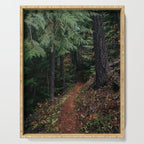 Fall Trail II Serving Tray Gallery Image 1