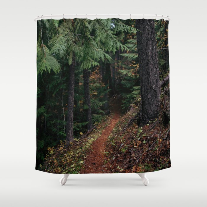 Fall Trail II Shower Curtain Gallery Image 1
