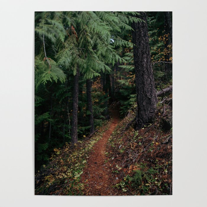 Fall Trail II Poster Gallery Image 4