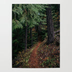 Fall Trail II Poster Gallery Image 4