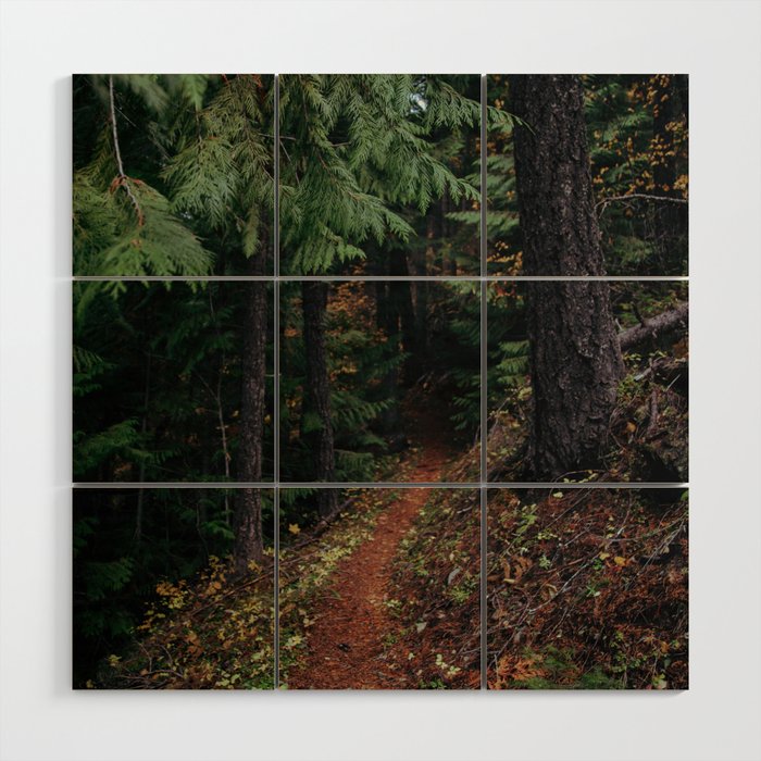 Fall Trail II Wood Wall Art Gallery Image 1