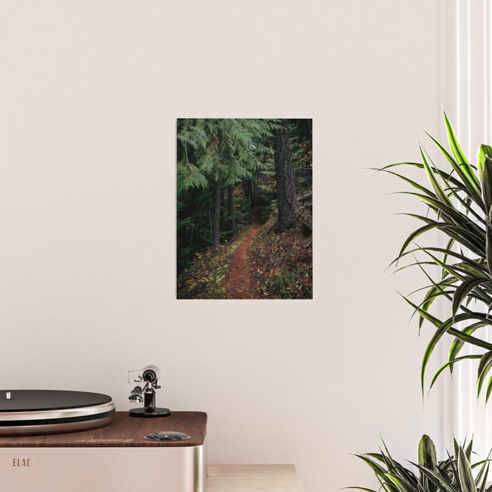 Fall Trail II Poster Gallery Image 2