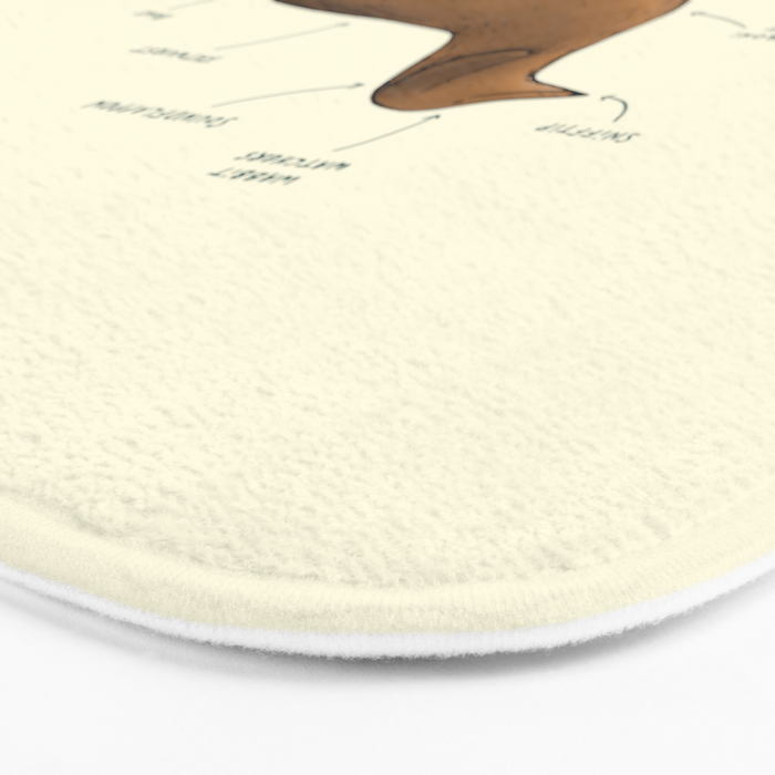 Anatomy of a Dachshund Bath Mat Gallery Image 3