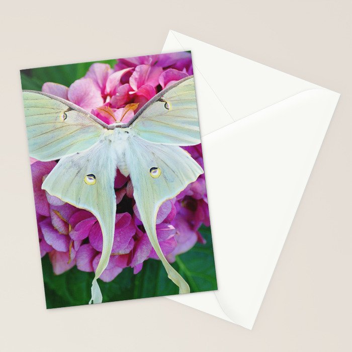 Luna Moth On Pink Hydrangea Nature Art Stationery Card Gallery Image 2
