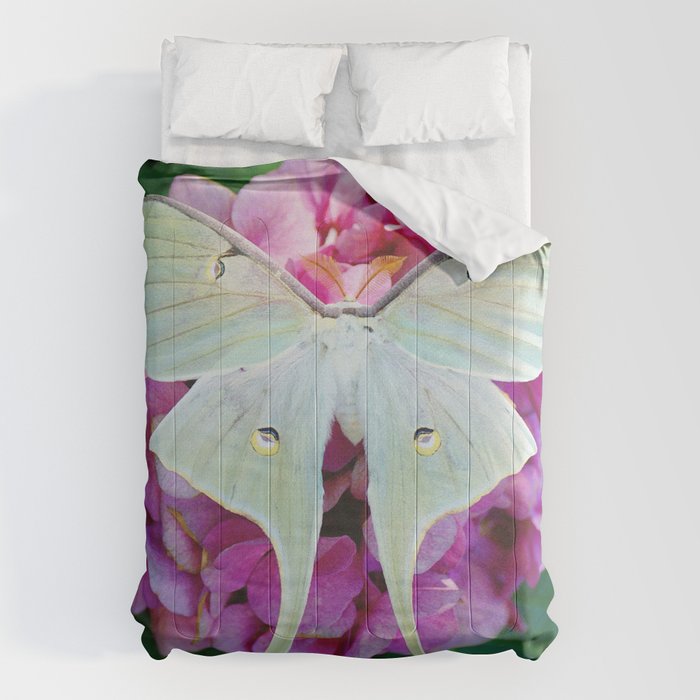 Luna Moth On Pink Hydrangea Nature Art Comforter Gallery Image 6