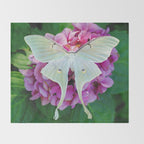Luna Moth On Pink Hydrangea Nature Art Throw Blanket Gallery Image 2