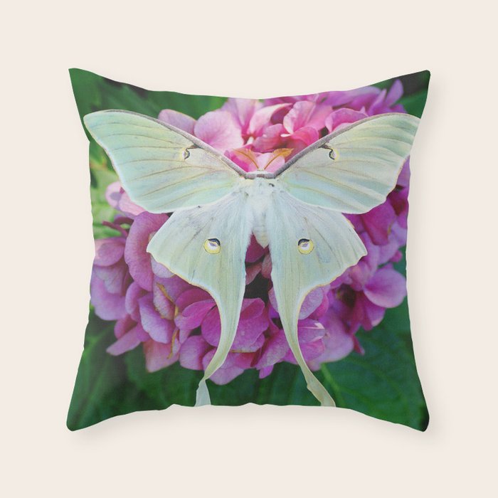 Luna Moth On Pink Hydrangea Nature Art Throw Pillow Gallery Image 6