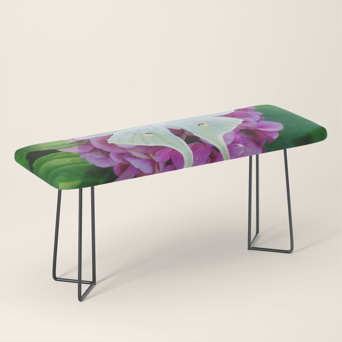 Luna Moth On Pink Hydrangea Nature Art Bench Gallery Image 1