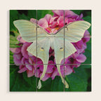 Luna Moth On Pink Hydrangea Nature Art Wood Wall Art Gallery Image 1