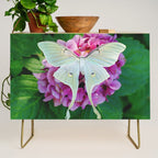 Luna Moth On Pink Hydrangea Nature Art Credenza Gallery Image 1