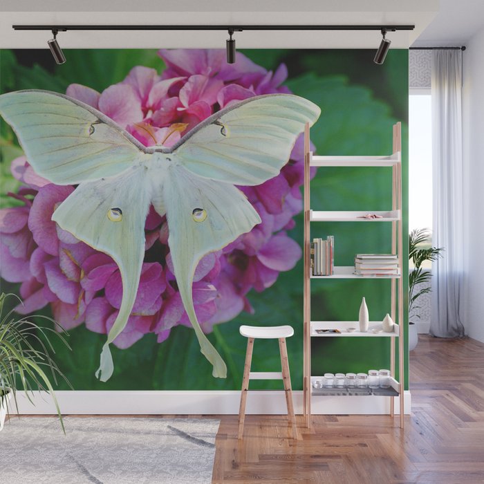 Luna Moth On Pink Hydrangea Nature Art Wall Mural Gallery Image 1