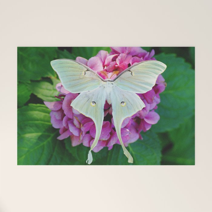 Luna Moth On Pink Hydrangea Nature Art Welcome Mat Gallery Image 1