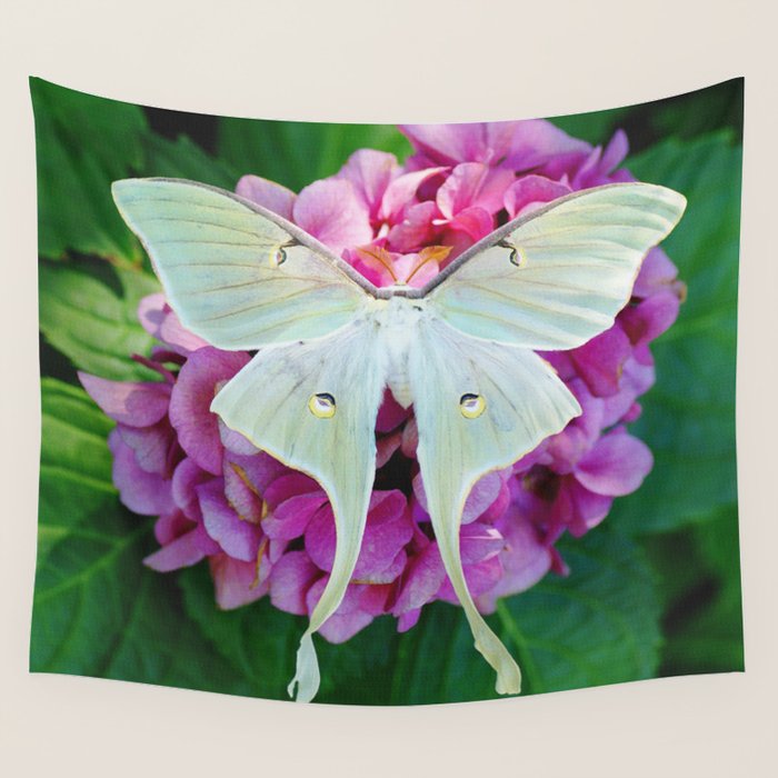 Luna Moth On Pink Hydrangea Nature Art Wall Tapestry Gallery Image 4