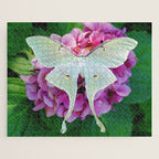 Luna Moth On Pink Hydrangea Nature Art Jigsaw Puzzle Gallery Image 1