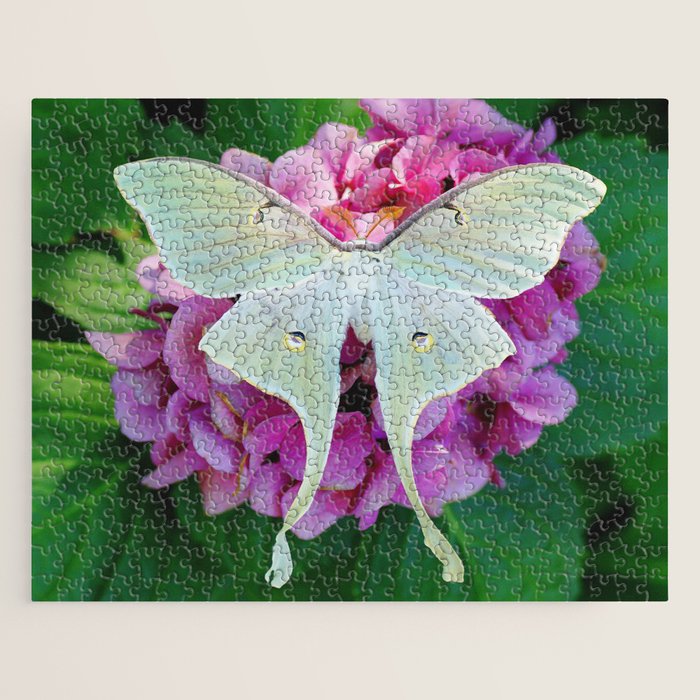 Luna Moth On Pink Hydrangea Nature Art Jigsaw Puzzle Gallery Image 1