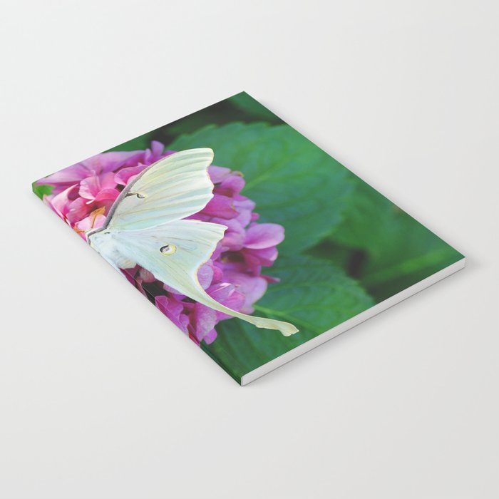 Luna Moth On Pink Hydrangea Nature Art Notebook Gallery Image 1