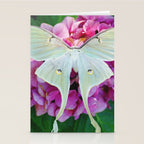 Luna Moth On Pink Hydrangea Nature Art Stationery Card Gallery Image 2