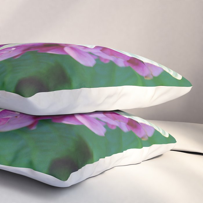 Luna Moth On Pink Hydrangea Nature Art Pillow Sham Gallery Image 3