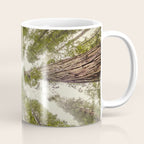 Into the Mist - Nature Photography Coffee Mug Gallery Image 1