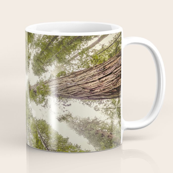 Into the Mist - Nature Photography Coffee Mug Gallery Image 1