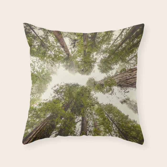 Into the Mist - Nature Photography Throw Pillow Gallery Image 1