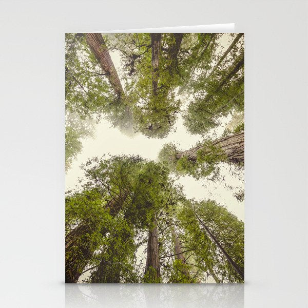 Into the Mist - Nature Photography Stationery Card Gallery Image 2