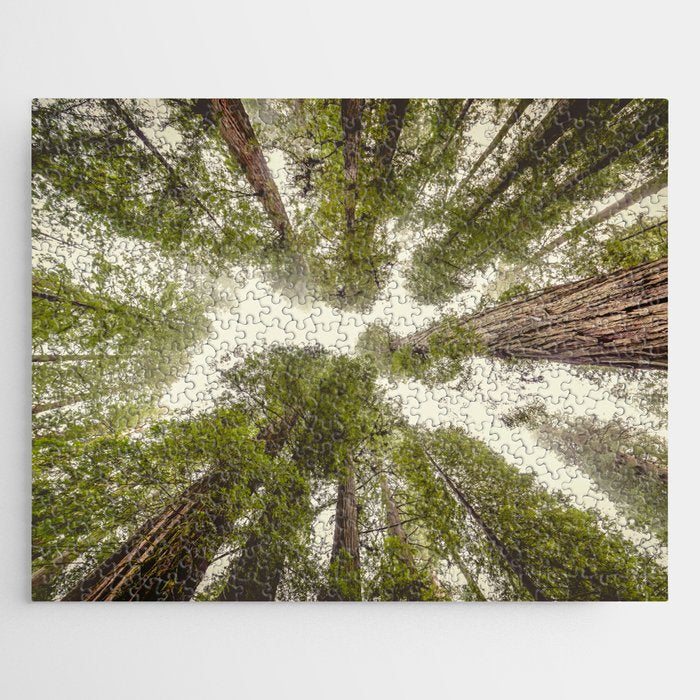 Into the Mist - Nature Photography Jigsaw Puzzle Gallery Image 1