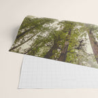Into the Mist - Nature Photography Wrapping Paper Gallery Image 2