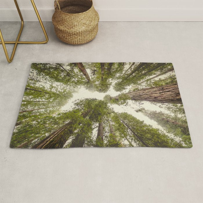 Into the Mist - Nature Photography Rug Gallery Image 1