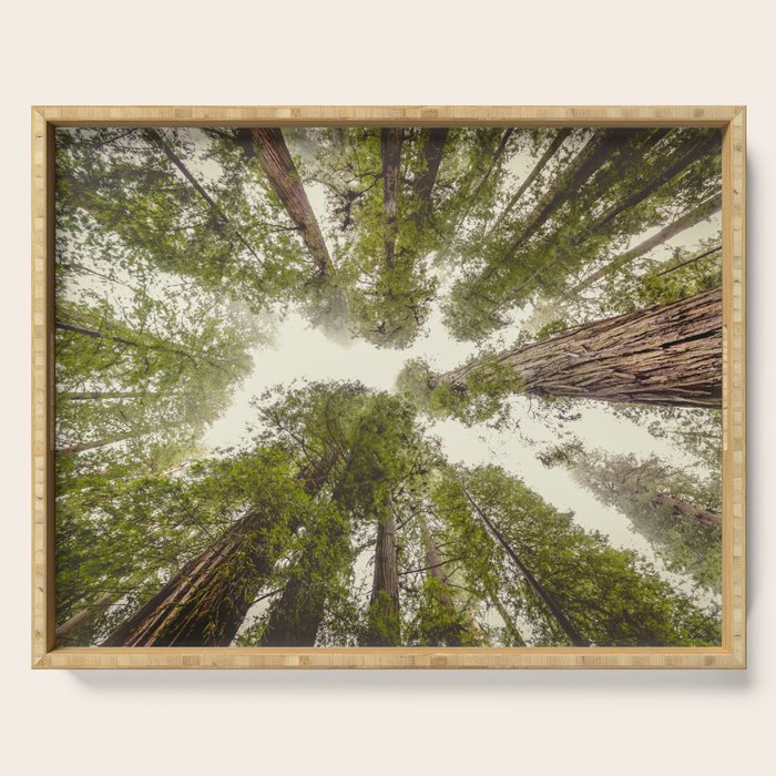 Into the Mist - Nature Photography Serving Tray Gallery Image 1