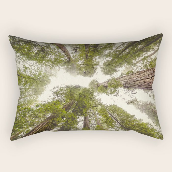 Into the Mist - Nature Photography Rectangular Pillow Gallery Image 1