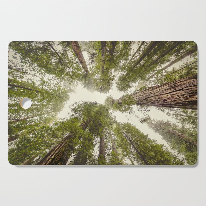 Into the Mist - Nature Photography Cutting Board Gallery Image 1