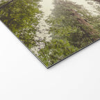 Into the Mist - Nature Photography Welcome Mat Gallery Image 2