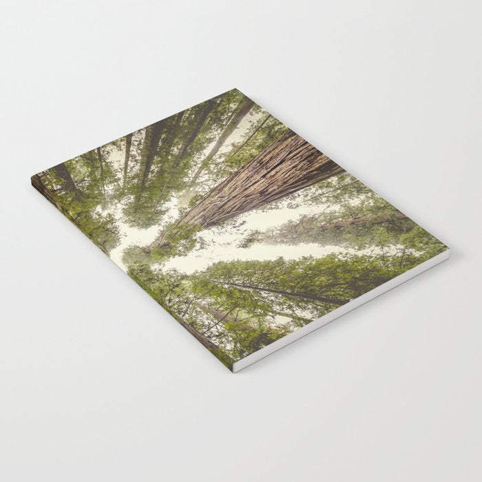Into the Mist - Nature Photography Notebook Gallery Image 2