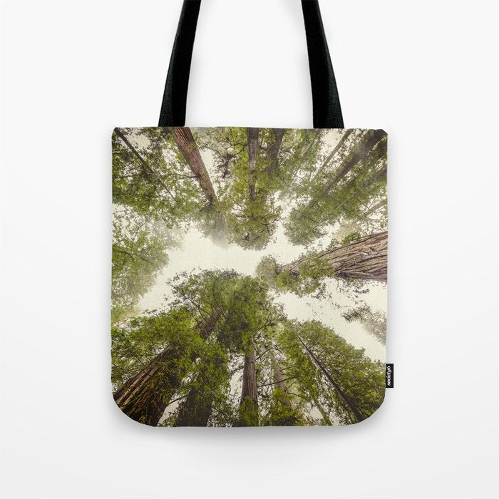 Into the Mist - Nature Photography Tote Bag Gallery Image 1