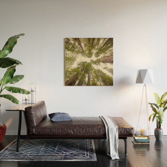 Into the Mist - Nature Photography Wood Wall Art Gallery Image 2