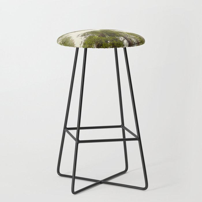 Into the Mist - Nature Photography Stool Gallery Image 1