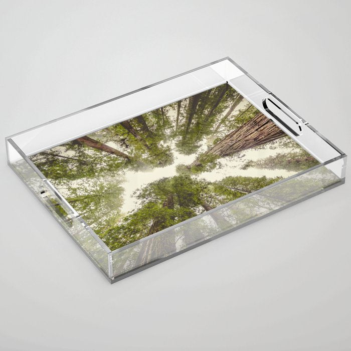 Into the Mist - Nature Photography Acrylic Tray Gallery Image 1