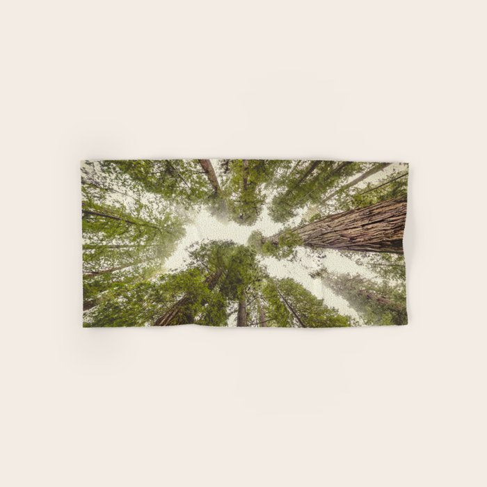 Into the Mist - Nature Photography Bath Towel Gallery Image 1