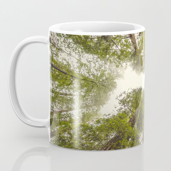 Into the Mist - Nature Photography Coffee Mug Gallery Image 3