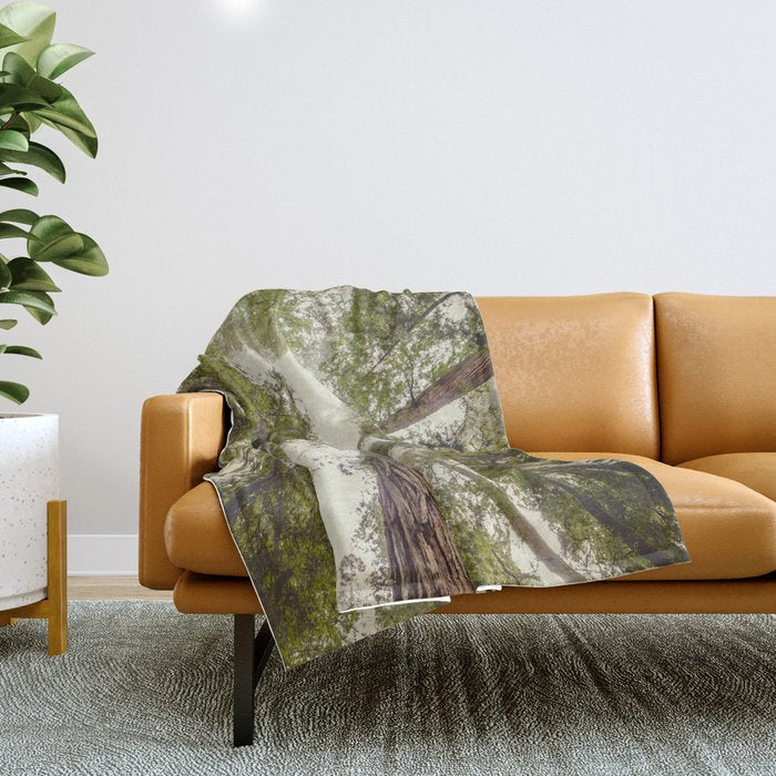 Into the Mist - Nature Photography Throw Blanket Gallery Image 1